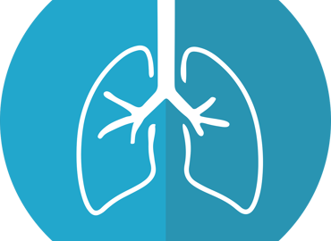 Lungs 2803208 1280